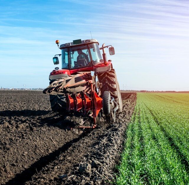 Agri industry